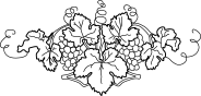 Academie du vin de france